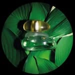 Mathieu Saint-Dizier(@perfume.archaeology)'s profile avatar