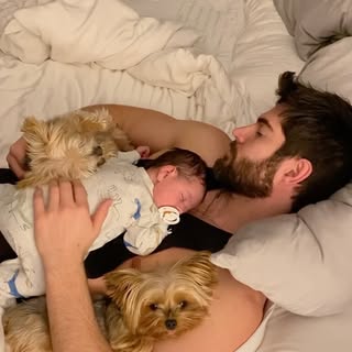 Early Morning with Theo and the Fur Monkeys 💤 by @nick__bateman