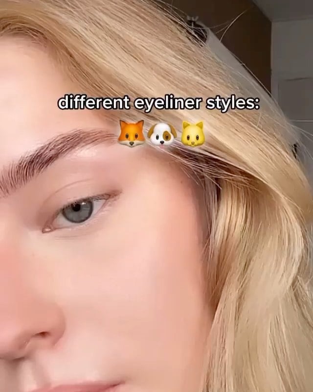 different eyeliner styles: 🦊🐶🐱 comment your favourite:) Follow me for more @linernbrows 👈🏼products i used:@nyxcosmetics @nyxcosmetics_uk epic ink liners in black & brown @morphebrushes x @madisonbeer palette for the 🐶 look @hudabeauty @huda @hudabeautyshop life liner i used the pencil side #makeup #makeuptutorials #makeuptutorial #makeupvideos #wakeupandmakeup #hudabeauty #eyelinertutorials #makeupreels #tiktokchallenge #makeuphacks by @linernbrows