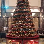 🎄