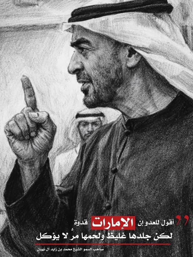 🇦🇪🫡 ❤️🇦🇪 by @thedivadee