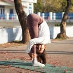 Komal Verma(@beauty_of_yoga)'s profile avatar