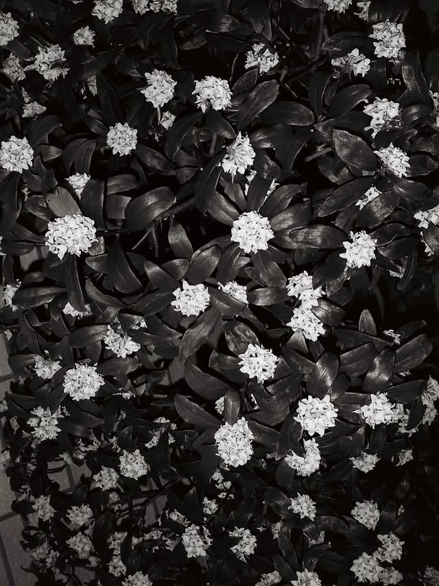 ⚫️⚪️T2 Black&White📸@qwajima 明日は広島vs神戸のピックアップマッチ！◎5/6(水)DAZN 14:30〜明々後日はDAZN ふっかる(今回は新テクノロジーを用いたデータを活用しながら試合を観る回です。)◎5/8(金)DAZN 21:00〜ボローニャvsローマそして日曜はFC東京vs東京ヴェルディのピックアップマッチです。◎5/10(日)DAZN 14:30〜先週に続き連戦で中継に関われて嬉しいです☺️よろしくお願いします！ by @emiri_nakagawa