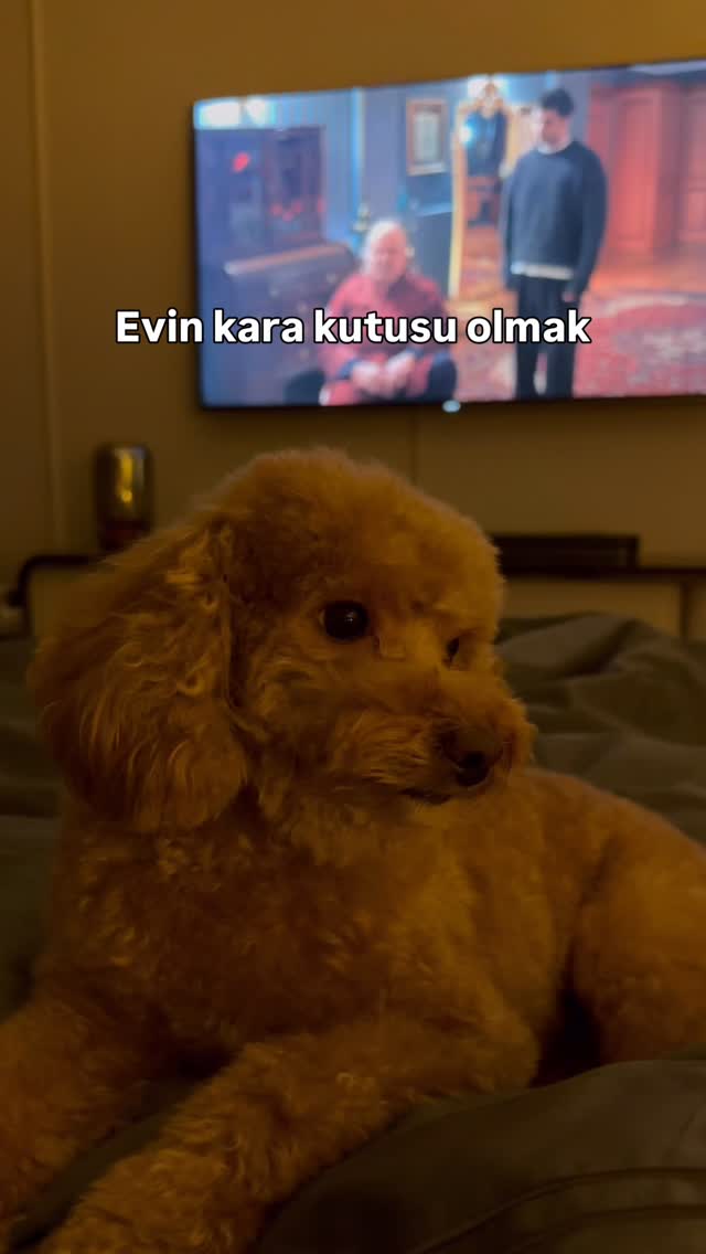 Sana da anne oldum be kahve🤪😂