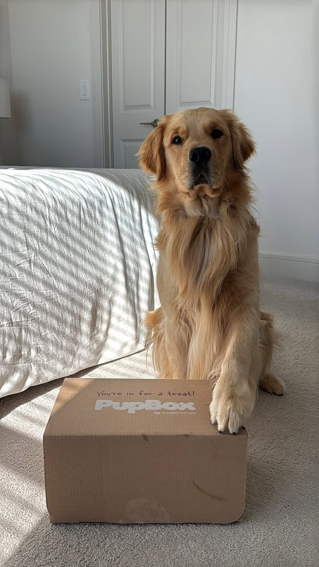 Every pup deserves a little summer surprise! Subscribe to the @pupbox by FabFitFun — a quarterly box filled with goodies curated especially for your fur baby. Find it at the link in our bio! 🌎📷@divinecanine.co - Summer Essentials Kit @pupbox - Star Snacks @thinkjinx - Beef & Banana Training Treat @pupbox - Suitcase Large @playpetbrands - Jet Set Snuggler Plush Dog Toy Large Bark-a-Boo - Camera Bark-a-Boo - Earth Ball 3” @zippypaws - Adventure Patch @petco - EveryYay Travel Bowl @nativepet - Dog Probiotic 1.7ozSpend $70 in our current sale (aka snag a PupBox 😜) and enjoy 25% off your entire order! CODE: pupbox25FFF FRIEND: @goldenretriebear by @fabfitfun