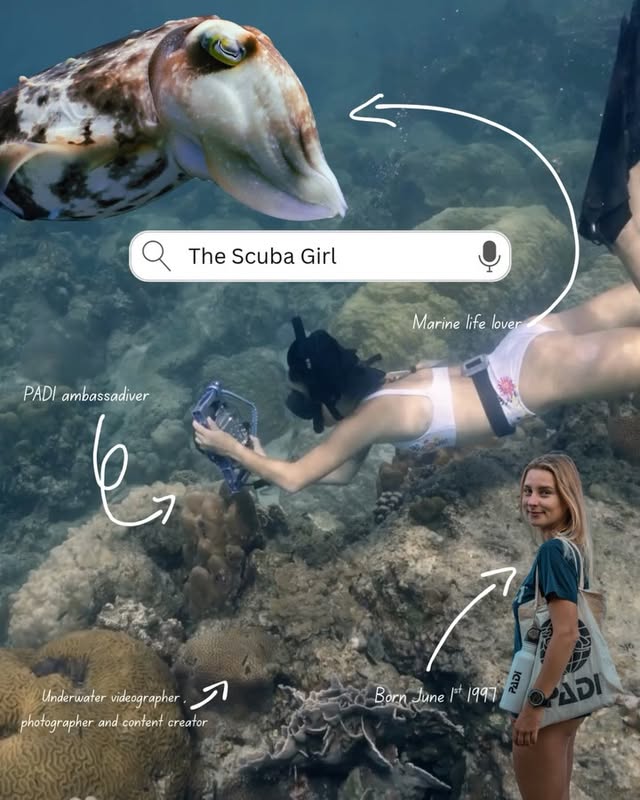 Little bit of a new format that I had fun creating before I cancel my Canva subscription to save money 🤣🤷🏼‍♀️#scubadiving #scubagirl #paditv #underwater #scuba by @the.scubagirl