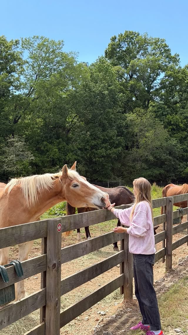 maybe one day 🫶🏼🤍#farm #horse #nature #animals #farmhouseliving by @hannahblatt