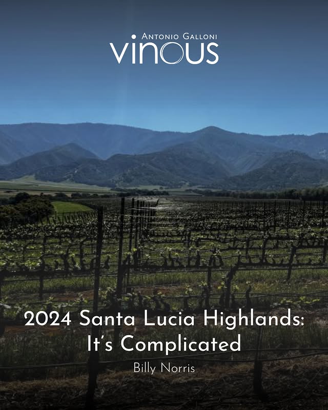 "On paper, 2024 looked like a return to normal in the Santa Lucia Highlands, but the wines tell a different story. After a string of extreme vintages, the growing season in the SLH seemed relatively straightforward. However, thick skins, compact clusters and a stop-start harvest produced something more complicated: thrilling whites, deeply structured reds and a slew of wines that don’t follow the usual script." Click the link in our bio to read Billy Norris' new article, 2024 Santa Lucia Highlands: It’s Complicated, on Vinous now. by @vinousmedia