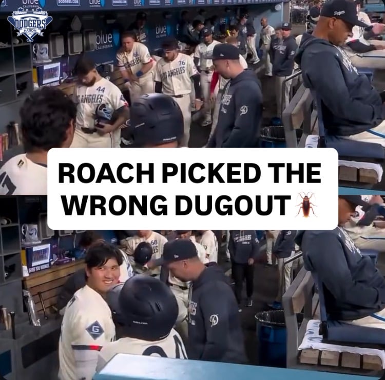 Andy Pages was caught squishing a cockroach in the dugout, getting a few laughs and a light moment from the Dodgers’ bench 😆

Hard not to stay loose when you’re up 9-1 in the late innings 💪

VIA: SNLA