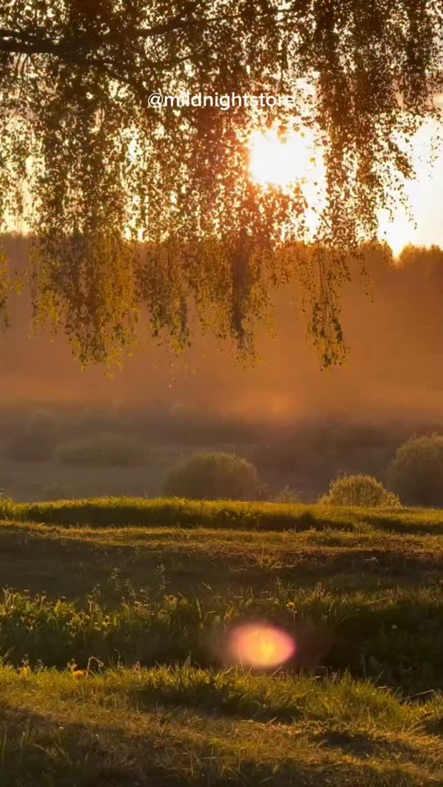 Respire.

E sinta a vida acontecendo em todos os lugares.

Nas árvores que balançam com o vento. Na chuva que toca a janela em uma tarde silenciosa. Nos pássaros que cantam sem se preocupar com o amanhã. No cheiro do café que aquece as manhãs e desperta a alma.

Pare e aprecie o que a vida oferece de graça.

O céu mudando de cor ao entardecer. A lua iluminando a noite. O abraço de quem ama você. A companhia silenciosa de quem escolheu ficar.

A vida nem sempre acontece nos grandes momentos.

Muitas vezes ela mora nos detalhes.

Em uma risada inesperada. Em uma música que toca o coração. Em uma lembrança bonita que aparece sem avisar. Em um instante de paz depois de um dia difícil.

A vida está acontecendo agora.

Enquanto você respira. Enquanto observa o mundo ao seu redor. Enquanto continua caminhando, mesmo sem perceber o quanto já percorreu.

Respire.

E permita-se sentir a beleza das coisas simples que sempre estiveram aí.