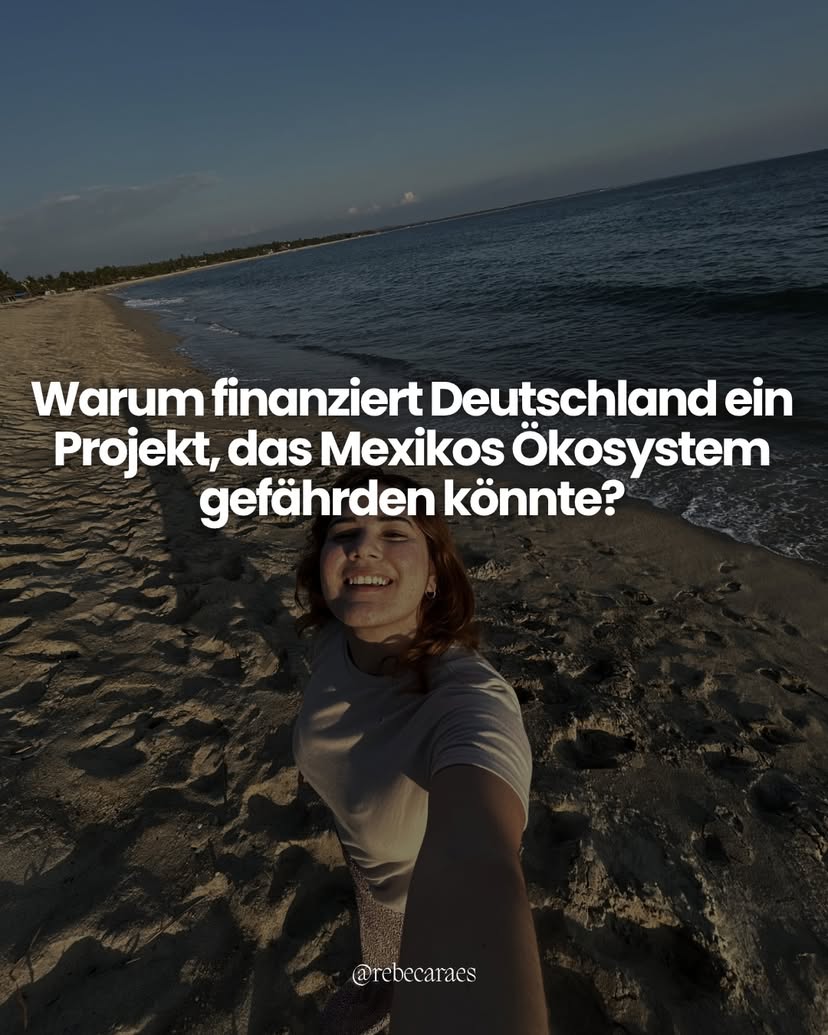 In der Bucht von Ohuira im Norden Mexikos entsteht derzeit eine große Ammoniakanlage. Das Projekt wird unter anderem von der deutschen KfW IPEX-Bank finanziert.

Befürworter sprechen von wirtschaftlicher Entwicklung und neuen Arbeitsplätzen.

Kritiker warnen vor möglichen Auswirkungen auf Mangroven, Fischerei, Biodiversität und die Menschen, die seit Generationen von diesem Ökosystem leben.

Die Situation ist komplex und wird unterschiedlich bewertet.

Deshalb ist es wichtig, sich selbst zu informieren und verschiedene Perspektiven zu verstehen.

Was denkst du darüber?

👇 Schreib deine Meinung in die Kommentare
 

🇪🇸En la Bahía de Ohuira, al norte de México, se está desarrollando actualmente una gran planta de amoníaco. El proyecto cuenta con financiación de la KfW IPEX-Bank de Alemania, entre otros actores.

Los defensores del proyecto hablan de desarrollo económico y creación de empleo.

Los críticos advierten sobre posibles impactos en los manglares, la pesca, la biodiversidad y en las comunidades que han vivido durante generaciones de este ecosistema.

Es una situación compleja, con distintas perspectivas.

Por eso es importante informarse por cuenta propia y entender los diferentes puntos de vista.

¿Qué opinas tú?

👇 Déjalo en comentarios

#mexiko #latinos #kultur #ohuira