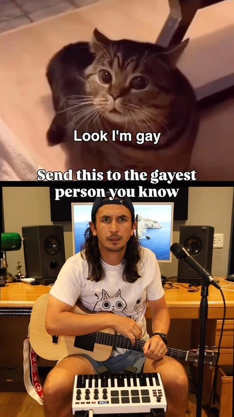 🫵🏼 you are gay