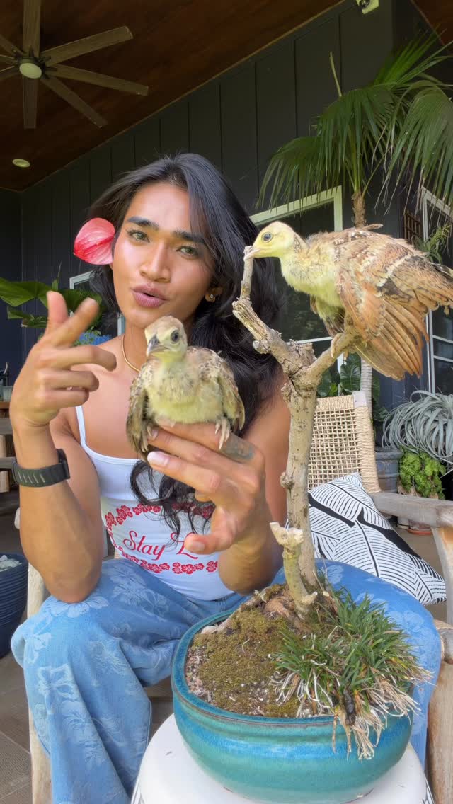 Baby Peachick Name reveal 💕🐥💜🐥 Hope yall come back here and there to check up on the Cocklings