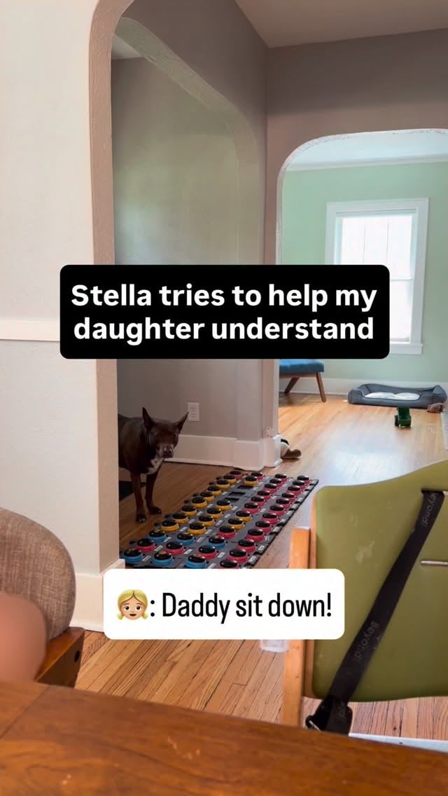 At lunch time, my daughter kept shouting “daddy sit down” trying to call him over to the table. He wasn’t home so I kept saying variations of “daddy’s not home” “daddy’s not here now” “daddy went to the store.”After this happened about 10 times, Stella tried responding too. When my daughter said “daddy sit down” Stella went to her buttons and said “bye.” And Stella was right! That’s what she needed to understand. After I confirmed “Daddy bye” my daughter stopped asking him to come sit down. Thanks Stella for having better speech therapy skills than me today 😅#hunger4words #aic #talkingdog #dogandbaby by @hunger4words