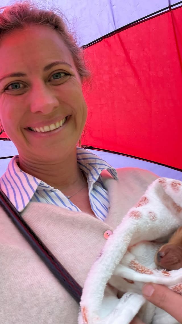 New family ritual. Pick up the puppies, wrap them up like burritos, and take them for a walk! 🐾 by @holly_branson