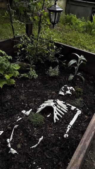 Welcome to Grimm gardens my crone core girlies 🖤🪏time to start digging and planting and being a strange girl this summer. Remember: you don’t need to wait for autumn to let your inner freak out #cabininthewoods #gardening #diyhome #summerween #witchyaesthetic
